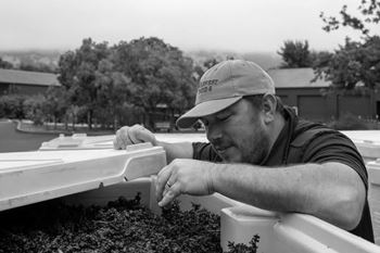 Winemaker, Derek Taylor